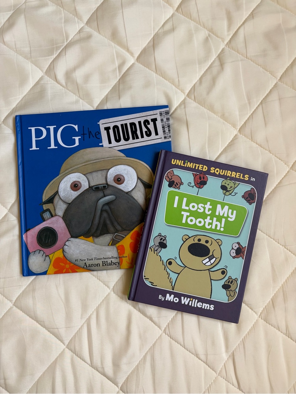 Hardcover Children's Book Bundle